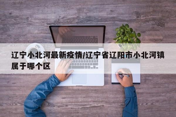 辽宁小北河最新疫情/辽宁省辽阳市小北河镇属于哪个区